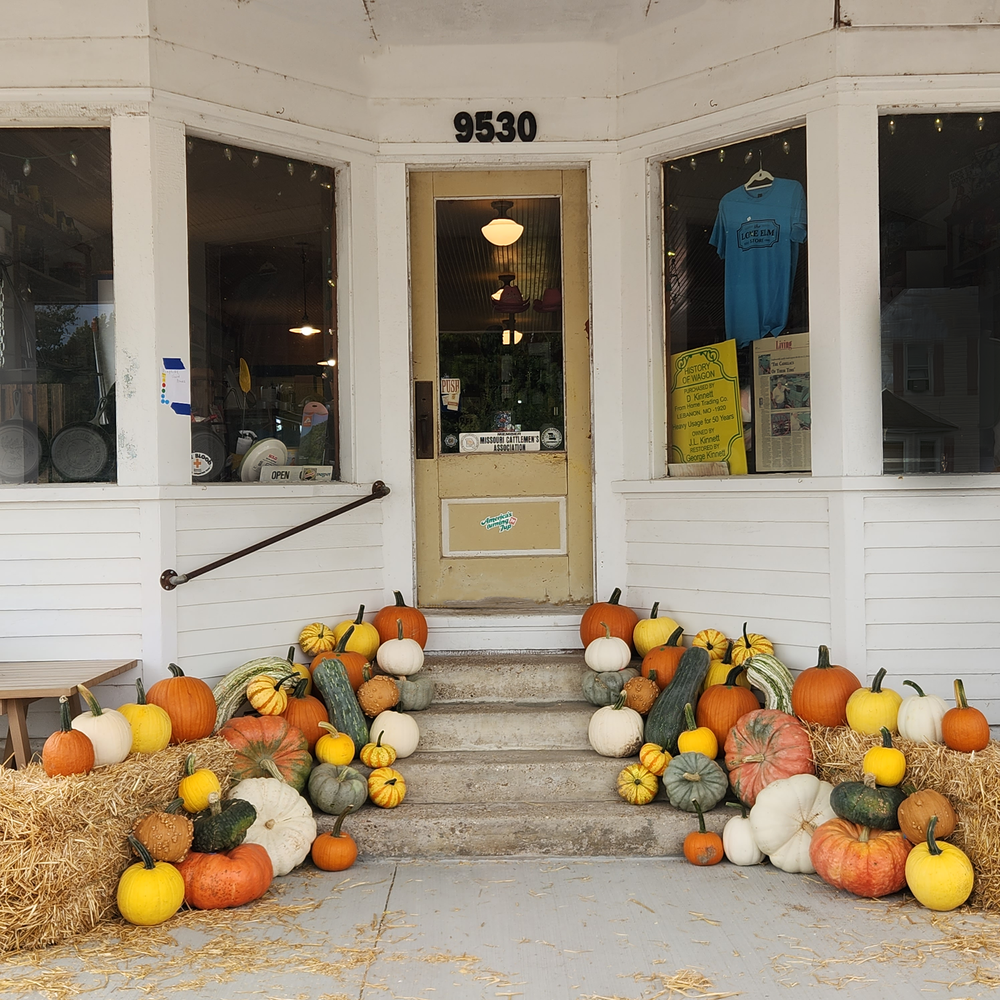 The Autumn Addict — PATCH & PORCH pumpkin delivery in Columbia, MO